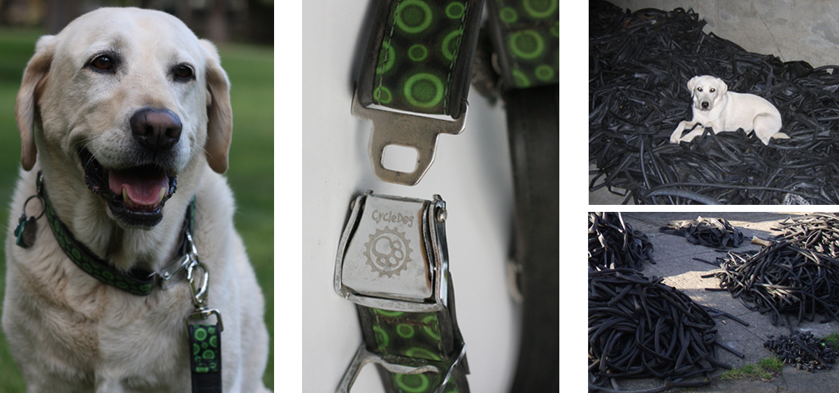 Dog Collar, Leash Made Of Old Bike Tubes