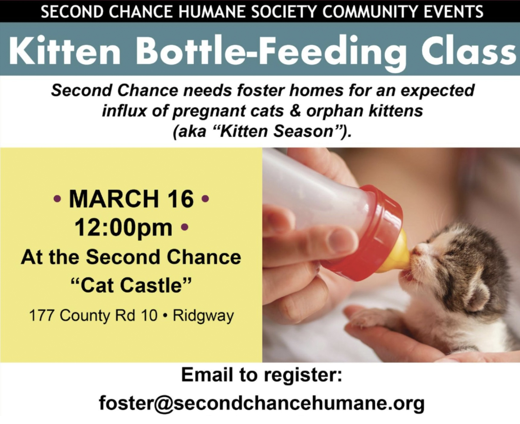 Telluride Inside... and Out | Second Chance: How Can We Help ...